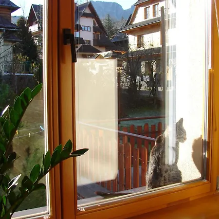 Kalina * Zakopane